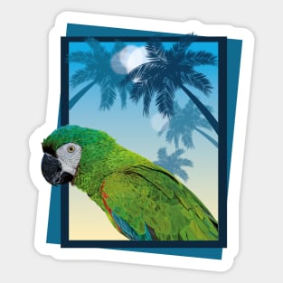 Severe Macaw Sticker